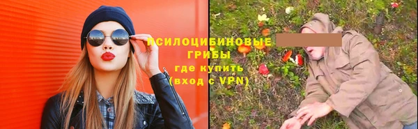 стафф Армянск